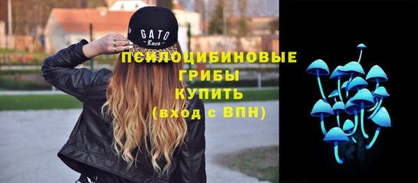 мяу мяу мука Бородино