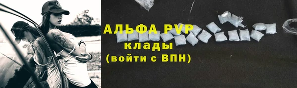 мяу мяу мука Бородино