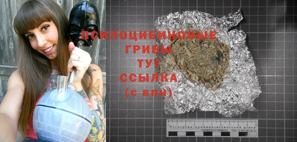 spice Верея
