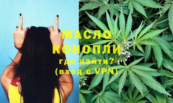 дмт Сосновоборск