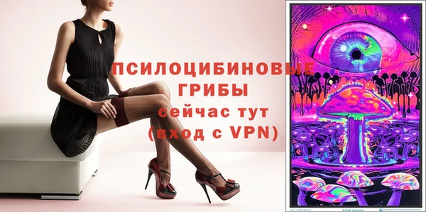 мяу мяу мука Бородино