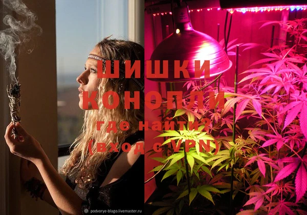 мяу мяу мука Бородино